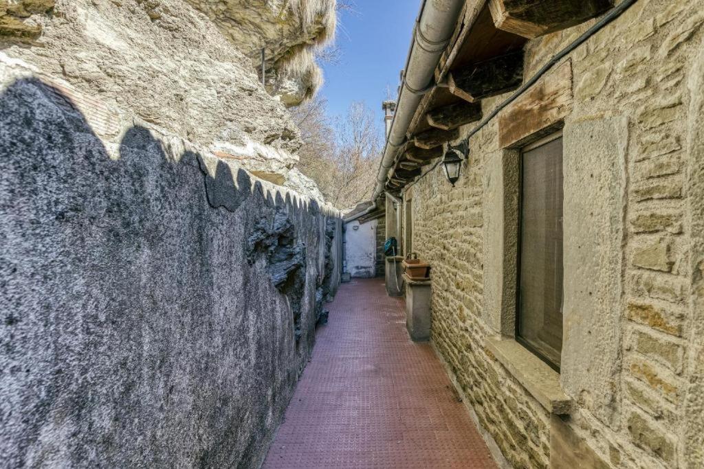 בית הארחה רופיט 	Nastura Casa Rural L'Art מראה חיצוני תמונה
